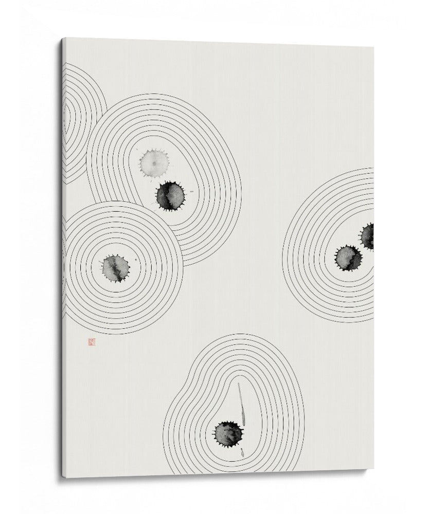 Jardín Zen Accidental NAd2 - Thoth Adan | Cuadro decorativo de Canvas Lab
