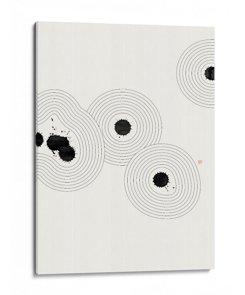 Jardín Zen Accidental NAd1 - Thoth Adan | Cuadro decorativo de Canvas Lab