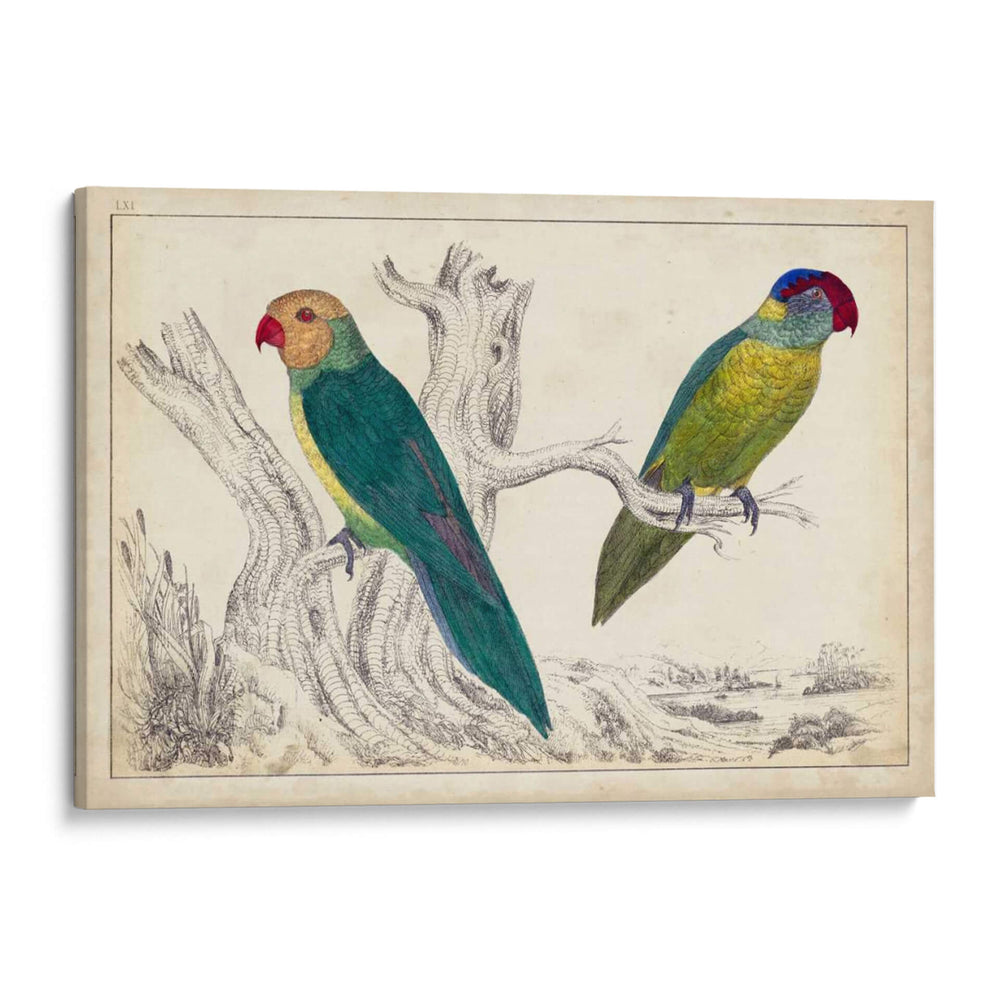 Par De Loros Ii | Cuadro decorativo de Canvas Lab