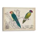 Par De Loros Ii | Cuadro decorativo de Canvas Lab