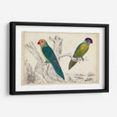 Par De Loros Ii | Cuadro decorativo de Canvas Lab