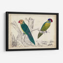 Par De Loros Ii | Cuadro decorativo de Canvas Lab