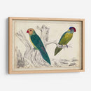 Par De Loros Ii | Cuadro decorativo de Canvas Lab