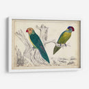 Par De Loros Ii | Cuadro decorativo de Canvas Lab