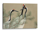 Grullas de Momoyogusa - Kamisaka Sekka | Cuadro decorativo de Canvas Lab
