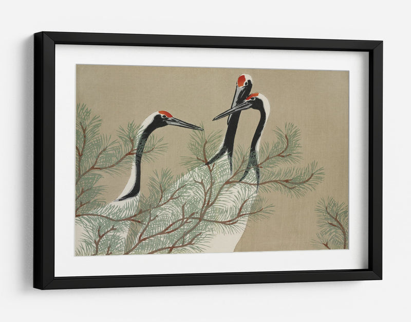 Grullas de Momoyogusa - Kamisaka Sekka | Cuadro decorativo de Canvas Lab
