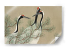 Grullas de Momoyogusa - Kamisaka Sekka | Cuadro decorativo de Canvas Lab