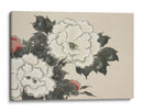 Flores de Momoyogusa - Kamisaka Sekka | Cuadro decorativo de Canvas Lab