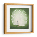Pavo real - Ohara Koson | Cuadro decorativo de Canvas Lab