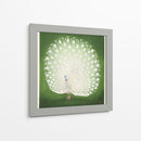 Pavo real - Ohara Koson | Cuadro decorativo de Canvas Lab