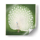 Pavo real - Ohara Koson | Cuadro decorativo de Canvas Lab