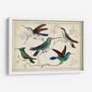 Colibrí Reuniendo I | Cuadro decorativo de Canvas Lab