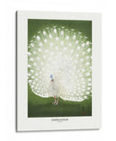 Pavo real - Recortado - Ohara Koson | Cuadro decorativo de Canvas Lab