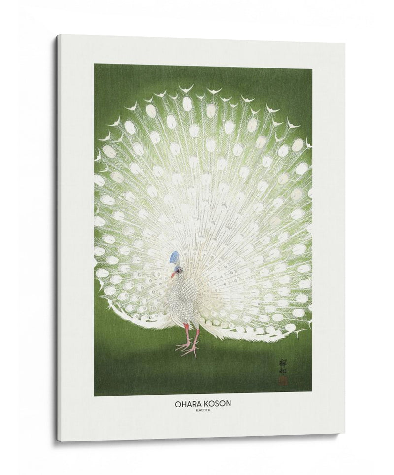 Pavo real - Recortado - Ohara Koson | Cuadro decorativo de Canvas Lab