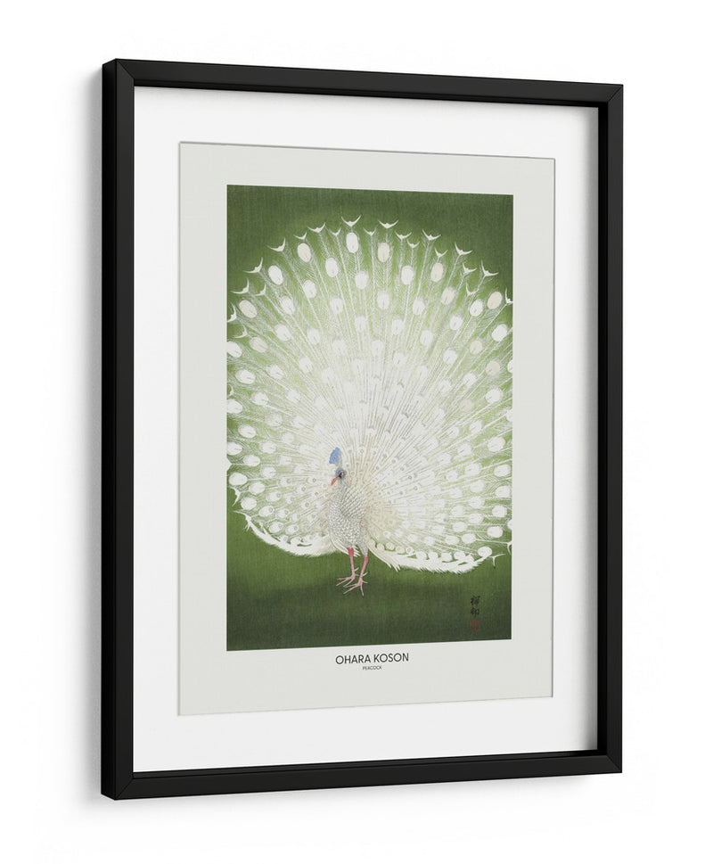 Pavo real - Recortado - Ohara Koson | Cuadro decorativo de Canvas Lab