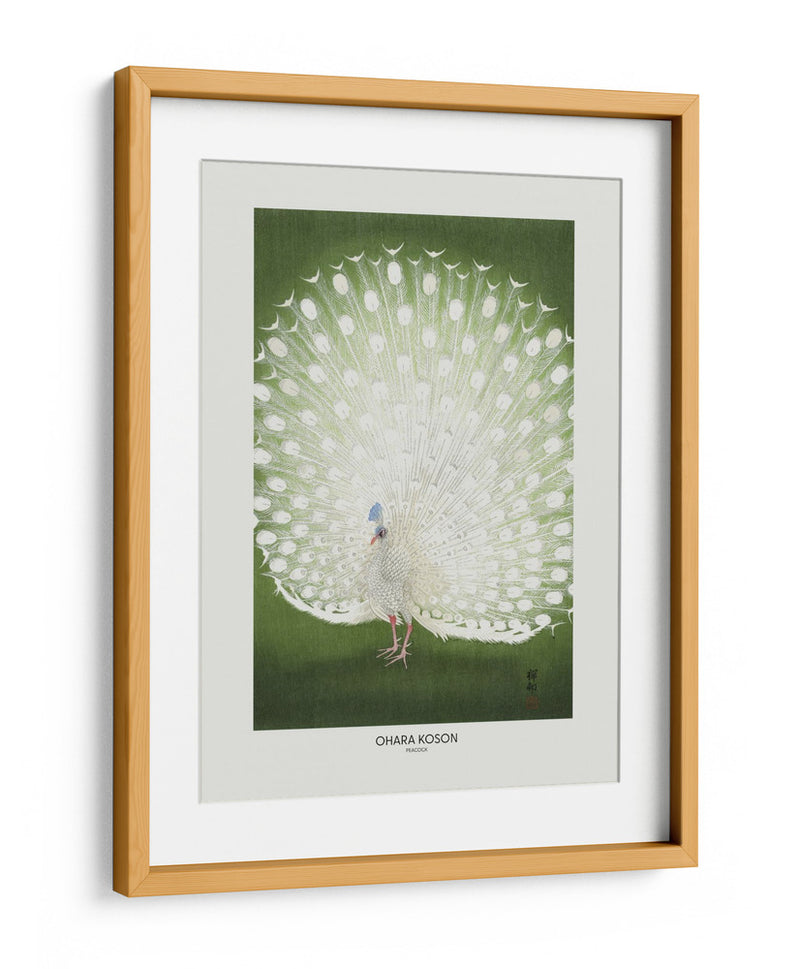 Pavo real - Recortado - Ohara Koson | Cuadro decorativo de Canvas Lab