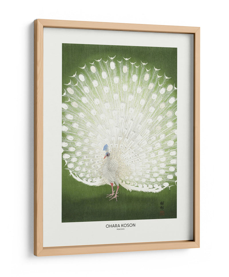 Pavo real - Recortado - Ohara Koson | Cuadro decorativo de Canvas Lab