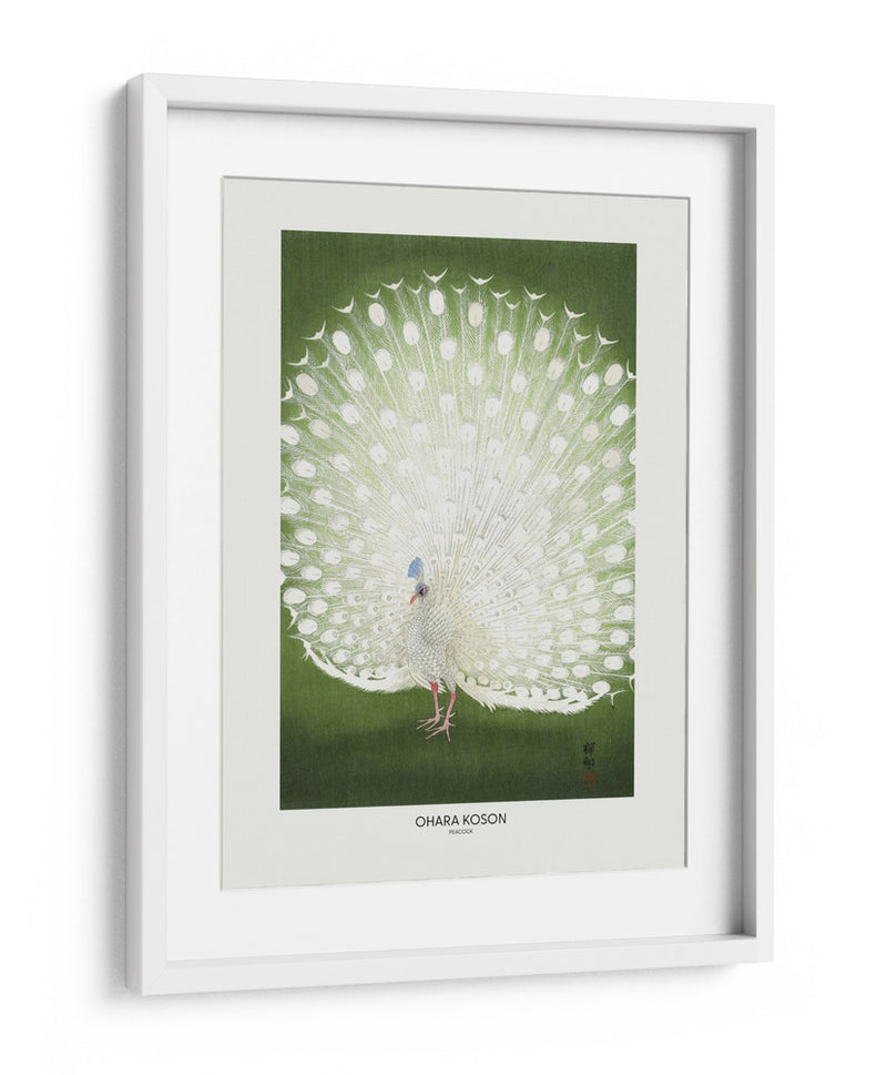 Pavo real - Recortado - Ohara Koson | Cuadro decorativo de Canvas Lab