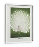 Pavo real - Recortado - Ohara Koson | Cuadro decorativo de Canvas Lab