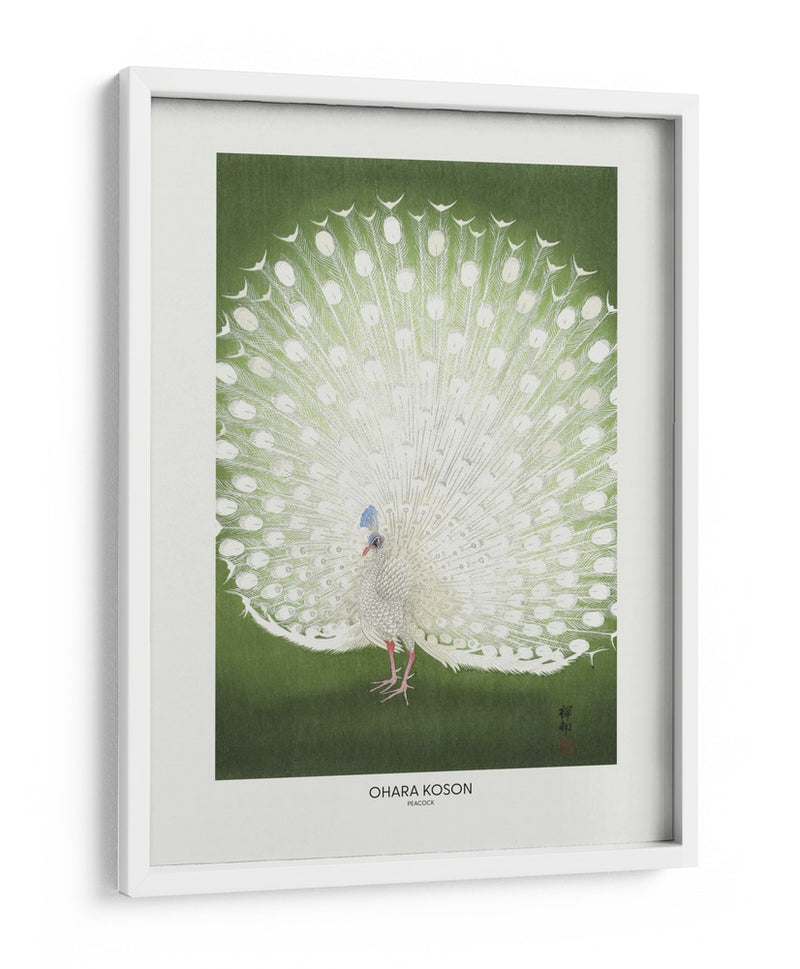 Pavo real - Recortado - Ohara Koson | Cuadro decorativo de Canvas Lab