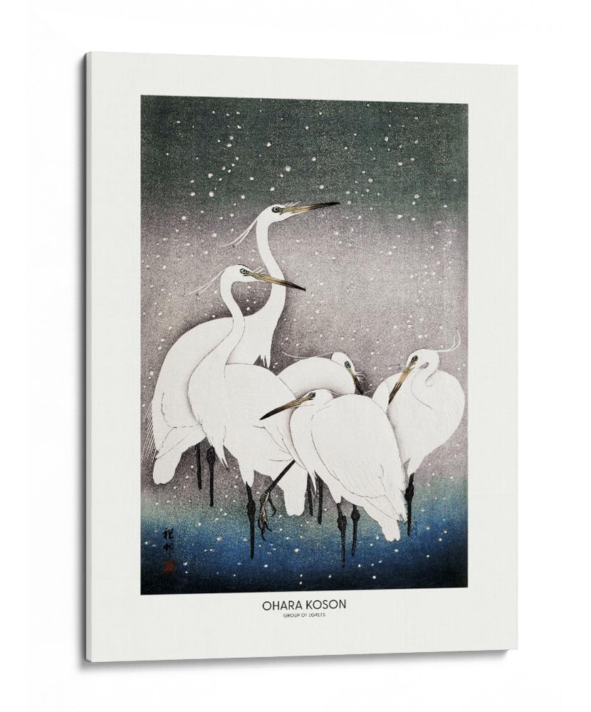 Grupo de garzas - Ohara Koson | Cuadro decorativo de Canvas Lab