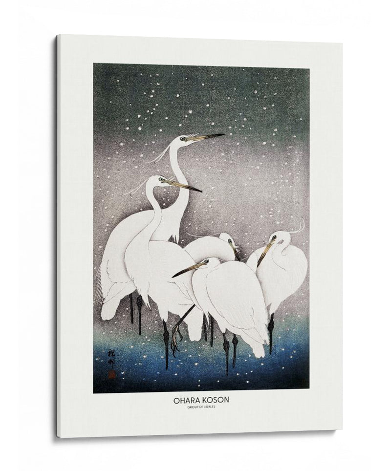 Grupo de garzas - Ohara Koson | Cuadro decorativo de Canvas Lab