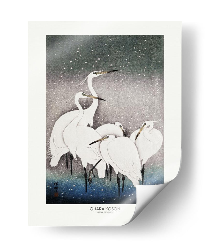 Grupo de garzas - Ohara Koson | Cuadro decorativo de Canvas Lab