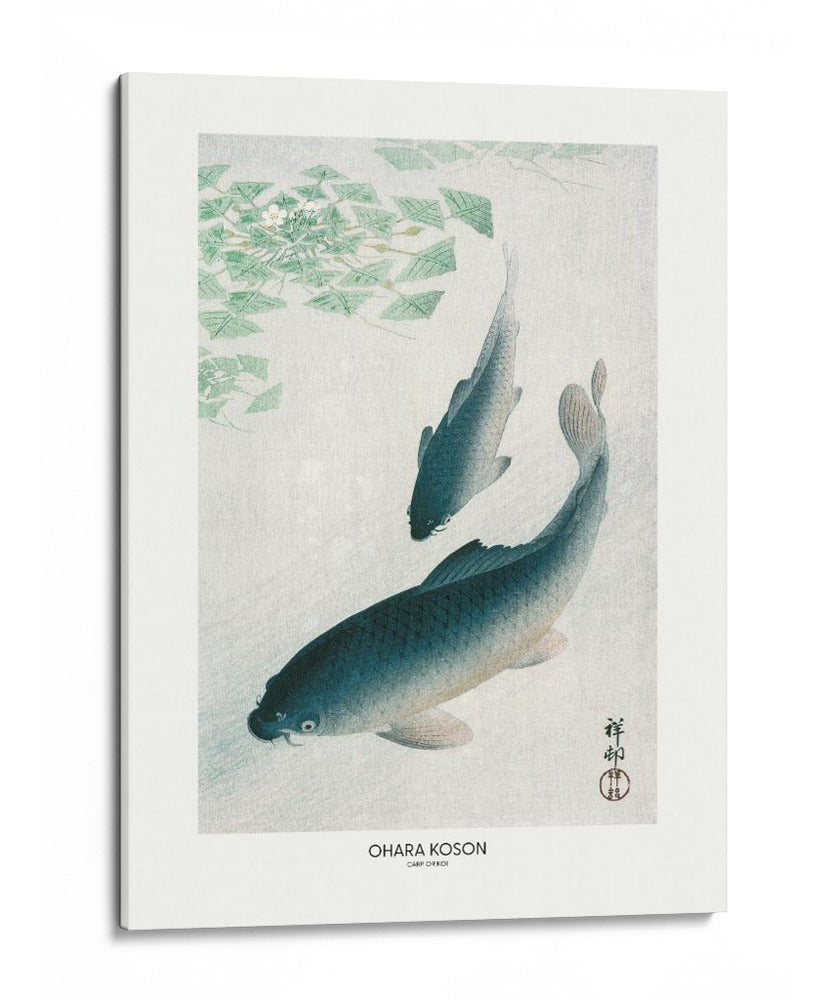 Carpa o Koi - Ohara Koson | Cuadro decorativo de Canvas Lab