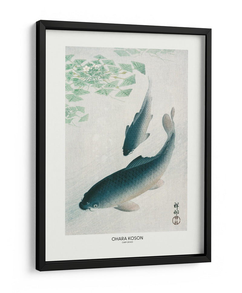 Carpa o Koi - Ohara Koson | Cuadro decorativo de Canvas Lab