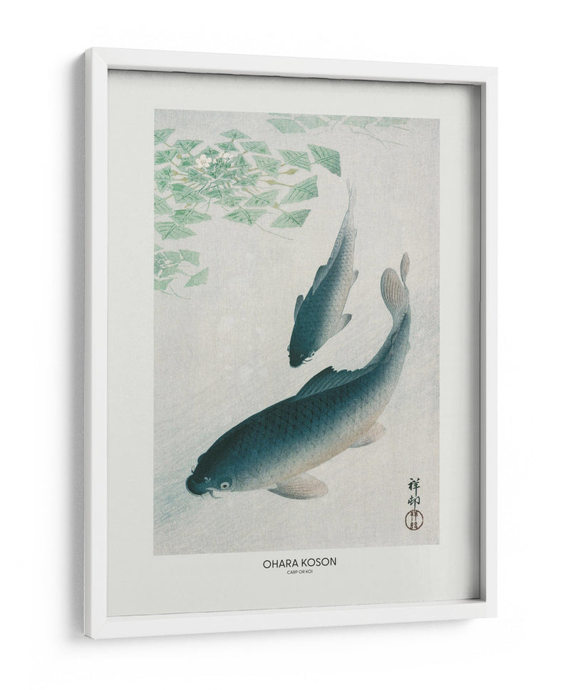 Carpa o Koi - Ohara Koson | Cuadro decorativo de Canvas Lab