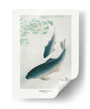 Carpa o Koi - Ohara Koson | Cuadro decorativo de Canvas Lab