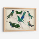 Hummingbird Gathering Ii | Cuadro decorativo de Canvas Lab
