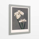 Lirio Kabmpferi - Ogawa Kazumasa | Cuadro decorativo de Canvas Lab