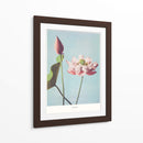Flor de Loto II - Ogawa Kazumasa | Cuadro decorativo de Canvas Lab