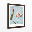 Flor de Loto II - Ogawa Kazumasa | Cuadro decorativo de Canvas Lab