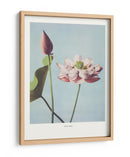 Flor de Loto - Ogawa Kazumasa | Cuadro decorativo de Canvas Lab