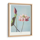 Flor de Loto II - Ogawa Kazumasa | Cuadro decorativo de Canvas Lab