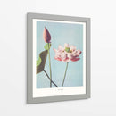Flor de Loto II - Ogawa Kazumasa | Cuadro decorativo de Canvas Lab