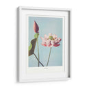 Flor de Loto II - Ogawa Kazumasa | Cuadro decorativo de Canvas Lab