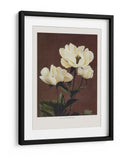 Habrdaceous Peonía - Ogawa Kazumasa | Cuadro decorativo de Canvas Lab