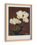 Habrdaceous Peonía - Ogawa Kazumasa | Cuadro decorativo de Canvas Lab