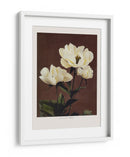 Habrdaceous Peonía - Ogawa Kazumasa | Cuadro decorativo de Canvas Lab