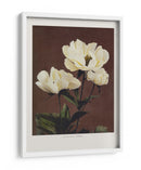 Habrdaceous Peonía - Ogawa Kazumasa | Cuadro decorativo de Canvas Lab
