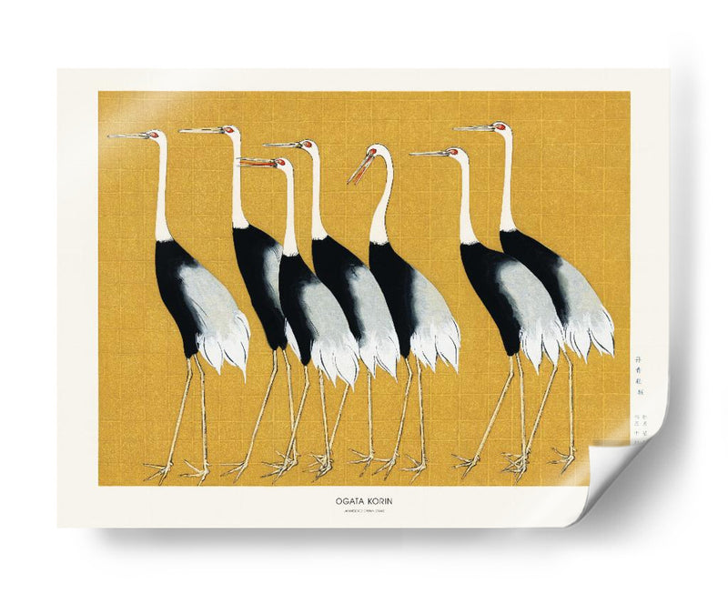 Grulla de corona roja japonesa - Ogata Korin | Cuadro decorativo de Canvas Lab