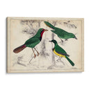 Trío Tropical | Cuadro decorativo de Canvas Lab