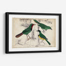 Trío Tropical | Cuadro decorativo de Canvas Lab