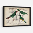 Trío Tropical | Cuadro decorativo de Canvas Lab