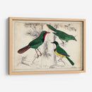 Trío Tropical | Cuadro decorativo de Canvas Lab