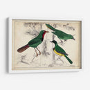 Trío Tropical | Cuadro decorativo de Canvas Lab