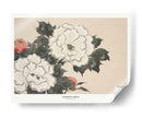 Flores de Momoyogusa II - Kamisaka Sekka | Cuadro decorativo de Canvas Lab